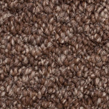 Chestnut Sweet Home Felt Backed Carpet