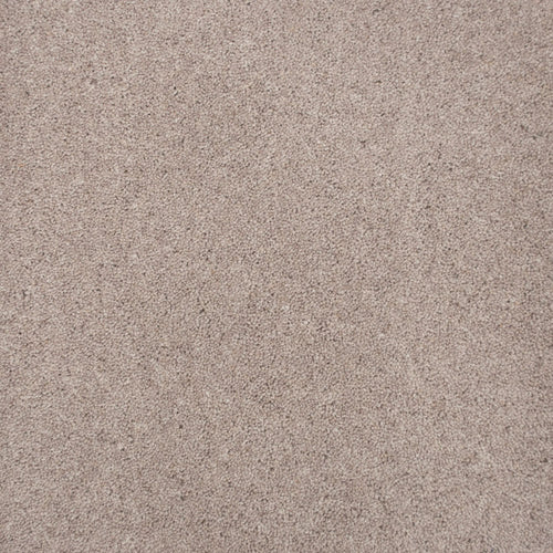 Swiss Cream 685 Elgin Twist Carpet