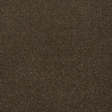 Tamarind Apollo Plus Carpet by Cormar