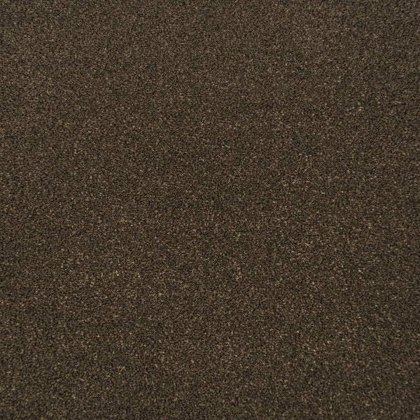 Tamarind Apollo Plus Carpet by Cormar