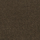 Tamarind Apollo Plus Carpet by Cormar