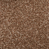 Stainfree Royale Carpet