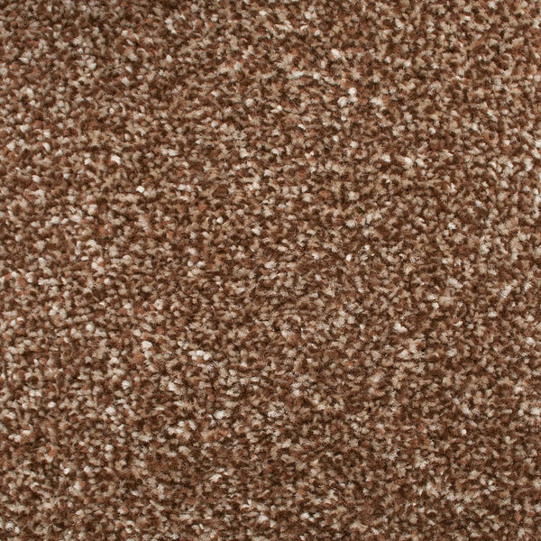 Tapestry Stainfree Royale Carpet