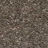 Taupe Grey 870 Timeless & Stripes Carpet