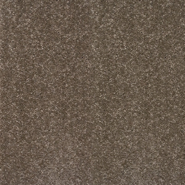 Taupe Grey 870 Timeless & Stripes Carpet