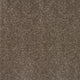 Taupe Grey 870 Timeless & Stripes Carpet