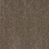 Taupe Grey 870 Timeless & Stripes Carpet