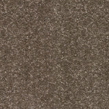 Taupe Grey 870 Timeless & Stripes Carpet