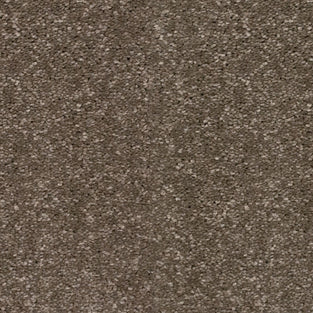 Taupe Grey 870 Timeless & Stripes Carpet