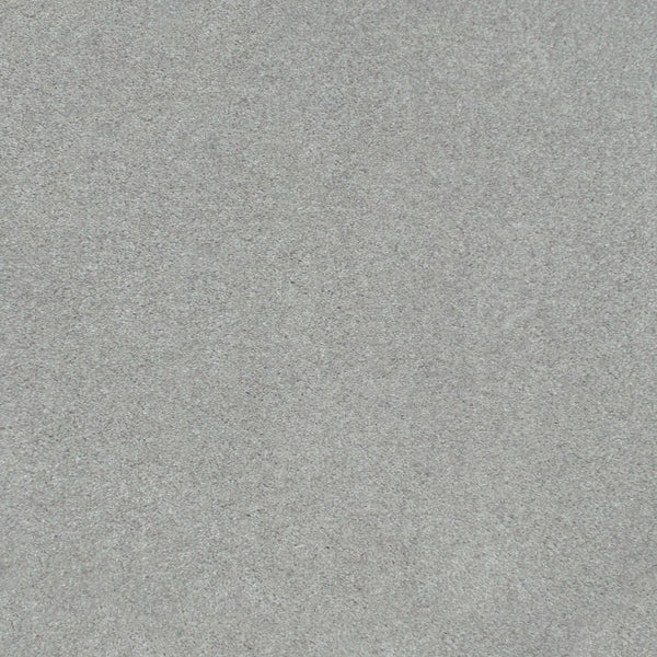 Taupe 49 Hermes iSense Carpet