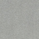 Taupe 49 Hermes iSense Carpet