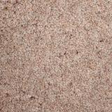 Taupe 40oz Bourbon Twist by Victoria Carpets