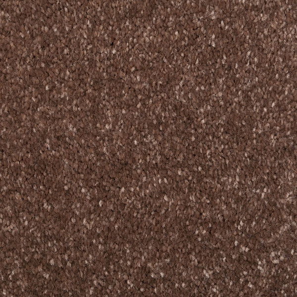 Taupe 37 Promenade Carpet