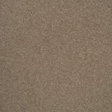 Light Brown Urban Legend Action Backed Saxony Carpet