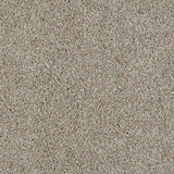 Gentlestone 36 Temptation Carpet