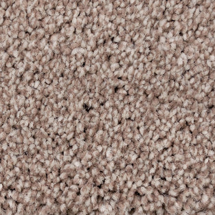 Dove Grey 48 Temptation Carpet