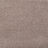 Dove Grey 48 Temptation Carpet