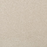 Tempting Taupe Apollo Plus Carpet -far