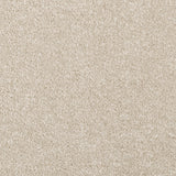 Tempting Taupe Apollo Plus Carpet - close