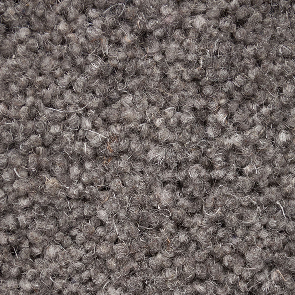 Thunder 50oz Home Counties Heathers Carpet