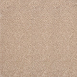 Stainaway Ultra Carpet