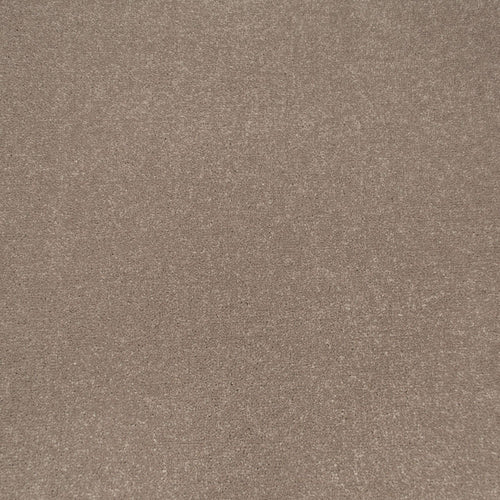 Toasted Almond Apollo Plus Carpet by Cormar