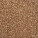 Stainfree Decor Twist Carpet