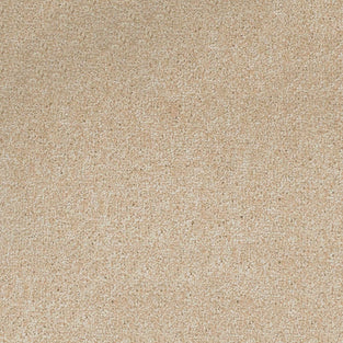 White Mulberry 03 Tuftex Twist Actionback Carpet