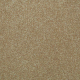 Pastel Beige 34 Tuftex Twist Actionback Carpet