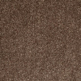 Glace Coffee 39 Tuftex Twist Actionback Carpet