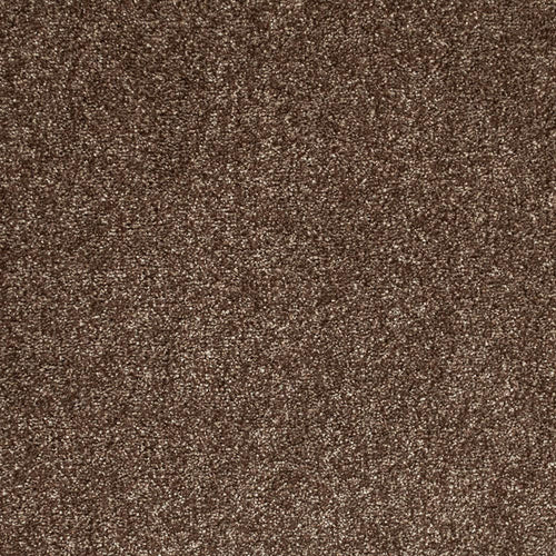 Glace Coffee 39 Tuftex Twist Actionback Carpet