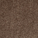 Glace Coffee 39 Tuftex Twist Actionback Carpet