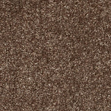 Glace Coffee 39 Tuftex Twist Actionback Carpet