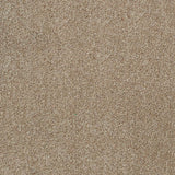 Sable 42 Tuftex Twist Actionback Carpet