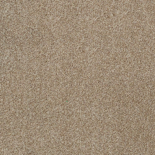 Sable 42 Tuftex Twist Actionback Carpet