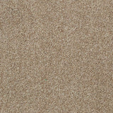 Sable 42 Tuftex Twist Actionback Carpet