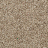 Sable 42 Tuftex Twist Actionback Carpet