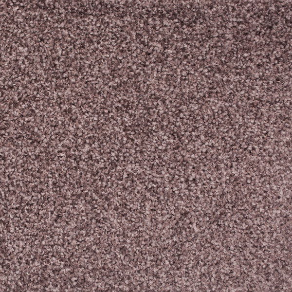 Taupe 49 Tuftex Twist Carpet