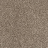 Tuscan Earth 730 Soft Noble Actionback Carpet