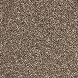 Tuscan Earth 730 Soft Noble Actionback Carpet