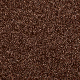 Chocolate Brown Urban Legend Felt Backed Saxony Carpet