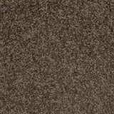 Chocolate Brown Urban Legend Felt Backed Saxony Carpet