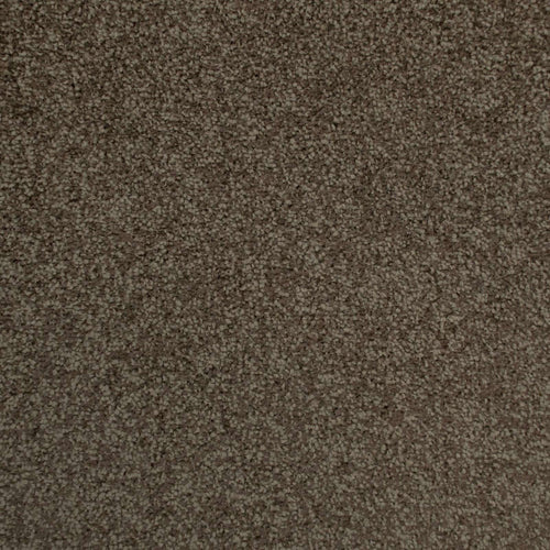 Chocolate Brown Urban Legend Felt Backed Saxony Carpet