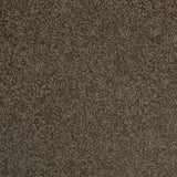 Chocolate Brown Urban Legend Felt Backed Saxony Carpet