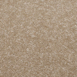 Beige Urban Legend Action Backed Saxony Carpet