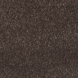 Chocolate 79 Vogue Intenza Carpet