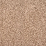 Stainaway Ultra Carpet