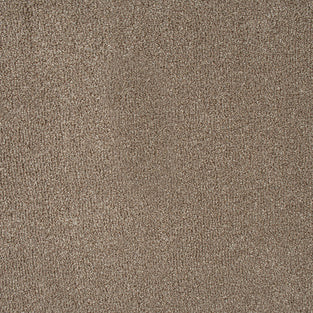 Warm Beige Indiana Saxony Carpet