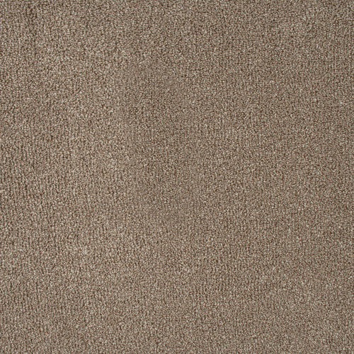 Warm Beige Indiana Saxony Carpet