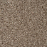 Warm Beige Indiana Saxony Carpet